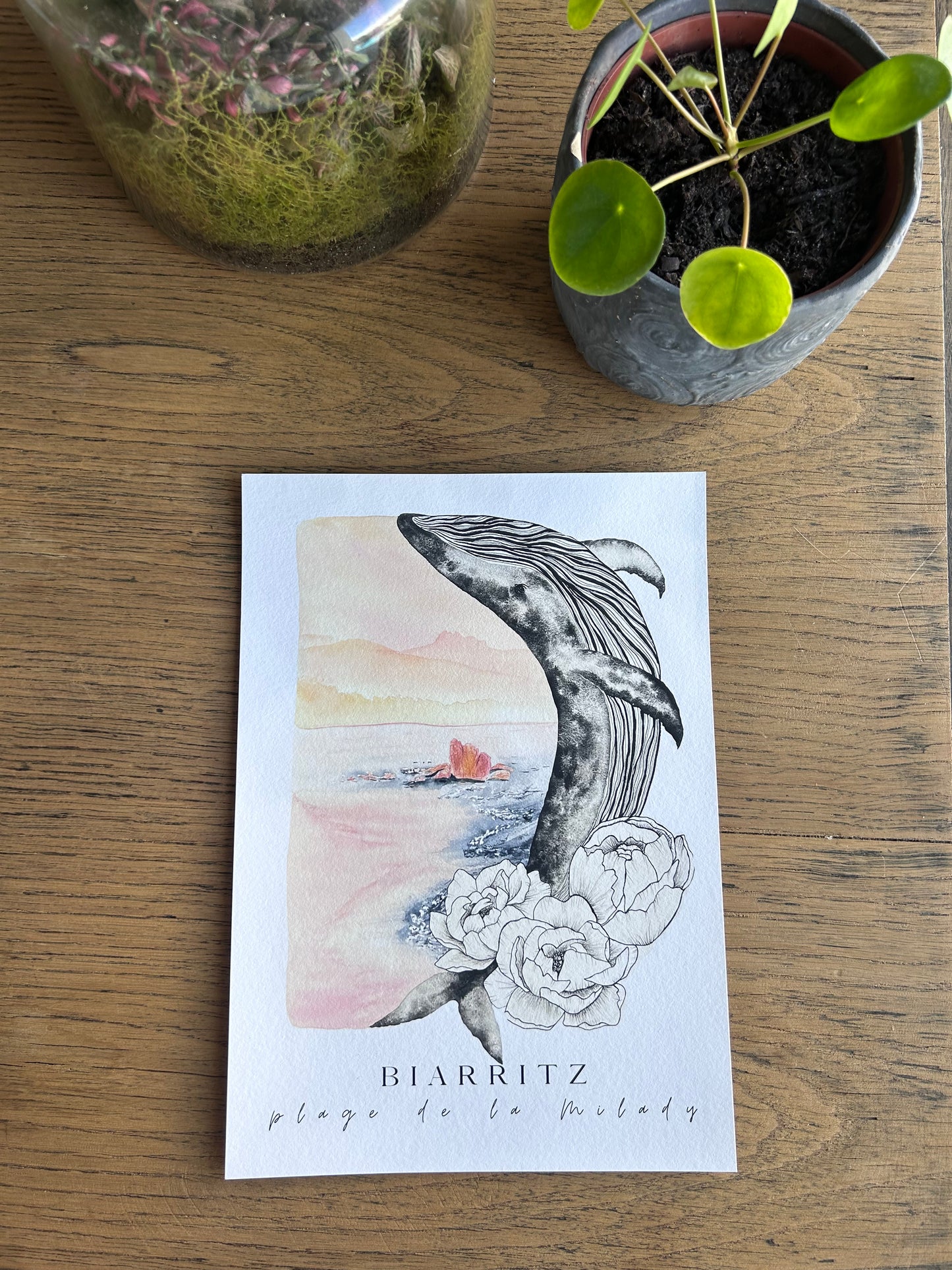 Print Biarritz, Milady