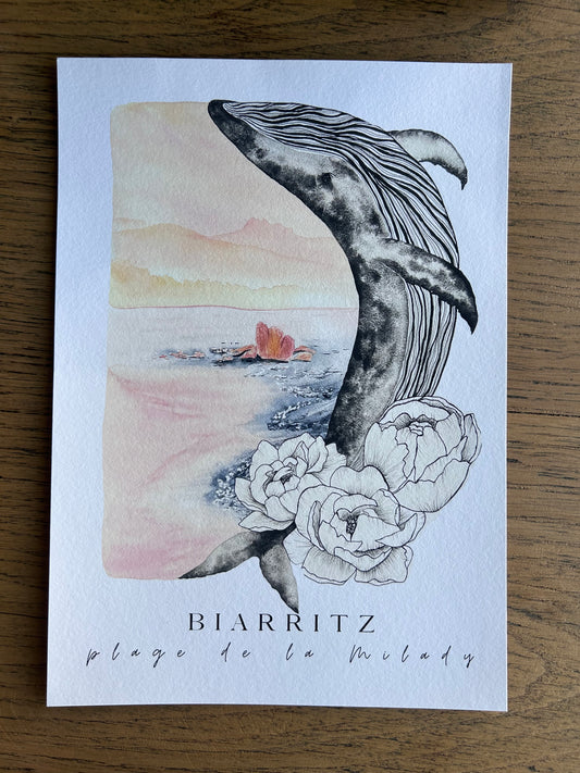 Print Biarritz, Milady