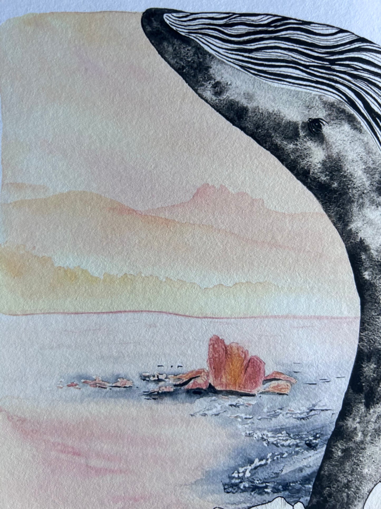 Print Biarritz, Milady