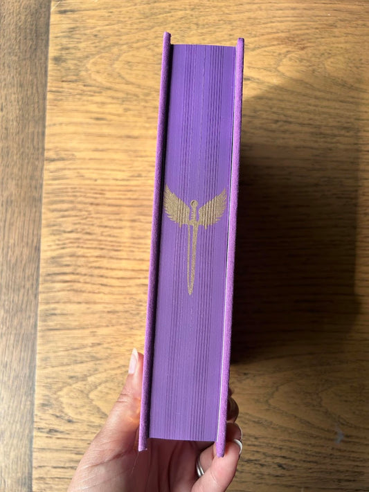 Un Palais de Flammes D'Argent (ACOTAR 5)