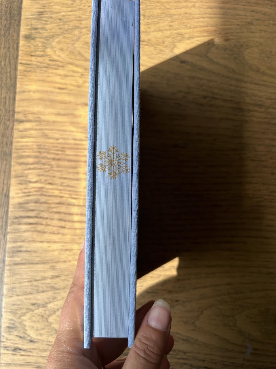 Un Palais de Glace et de Lumière (ACOTAR 4)