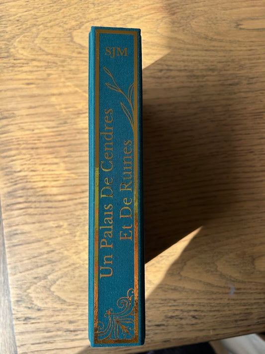 Un Palais de Cendres et de Ruines (ACOTAR 3)