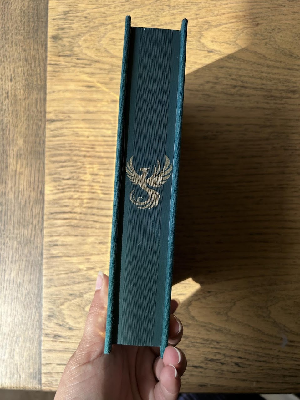 Un Palais de Cendres et de Ruines (ACOTAR 3)