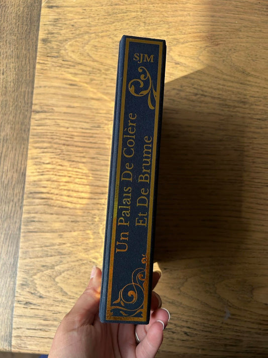 Un Palais de Colère et de Brume (ACOTAR 2)