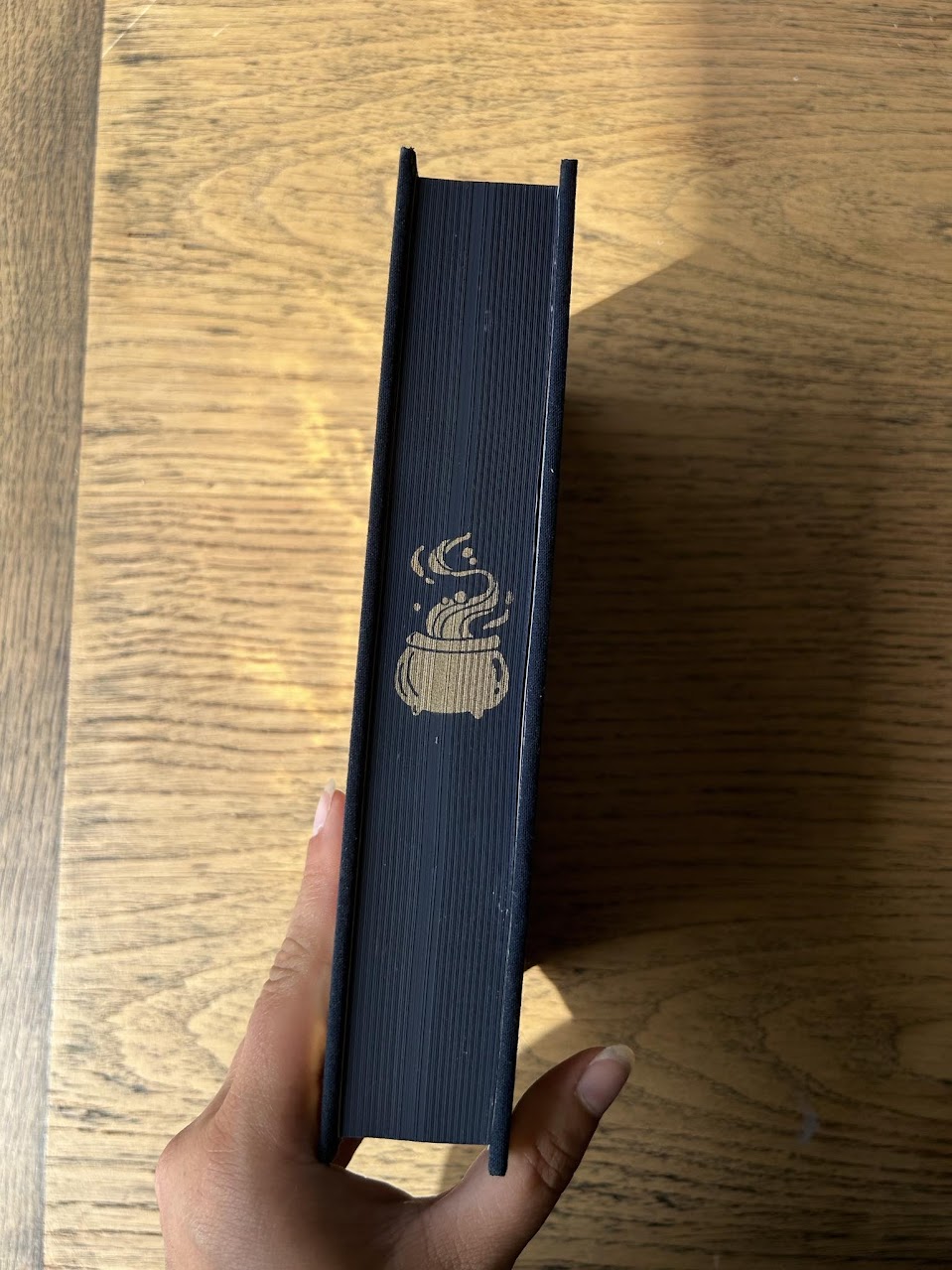 Un Palais de Colère et de Brume (ACOTAR 2)