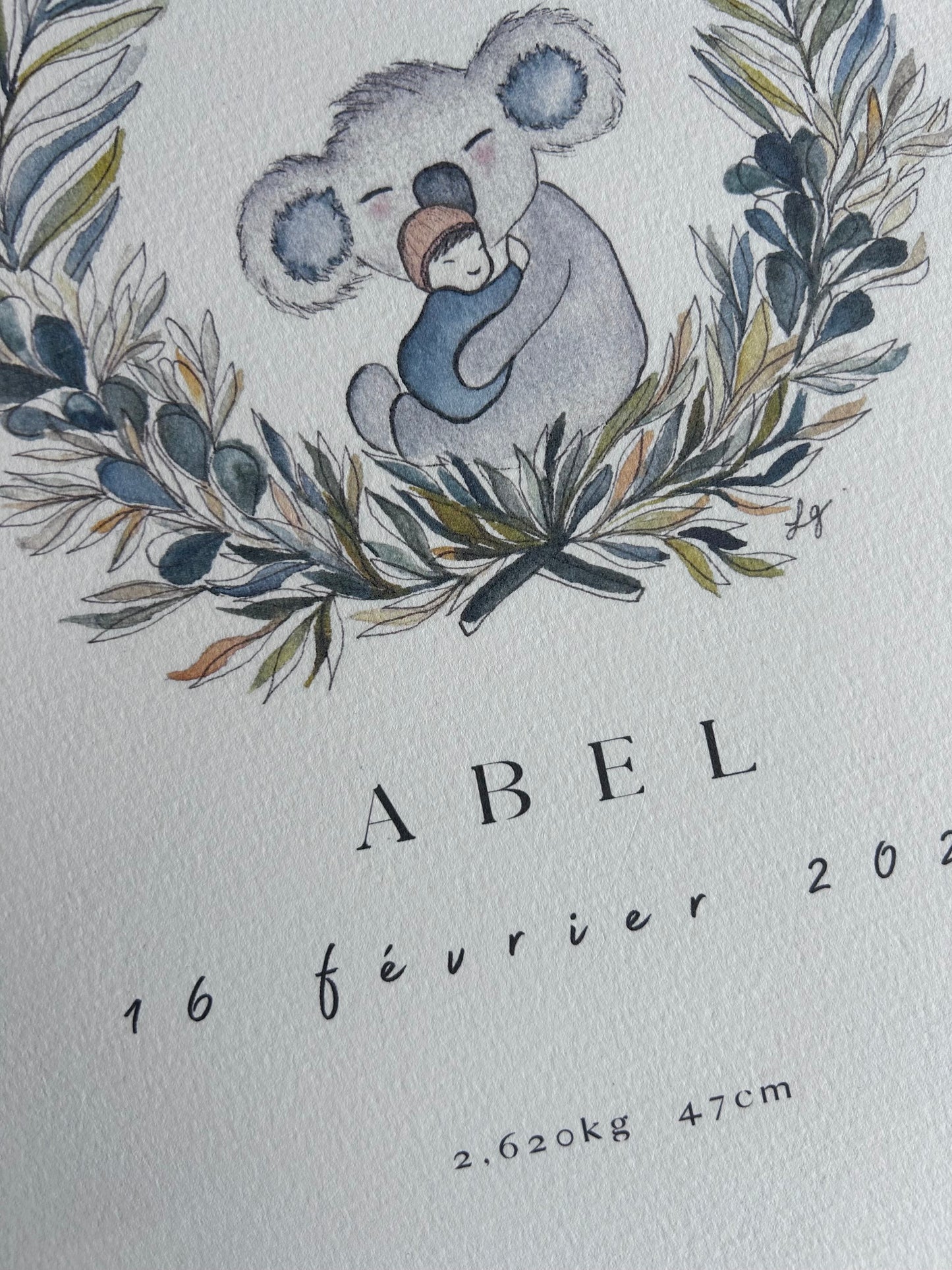 Affiche de Naissance Koala