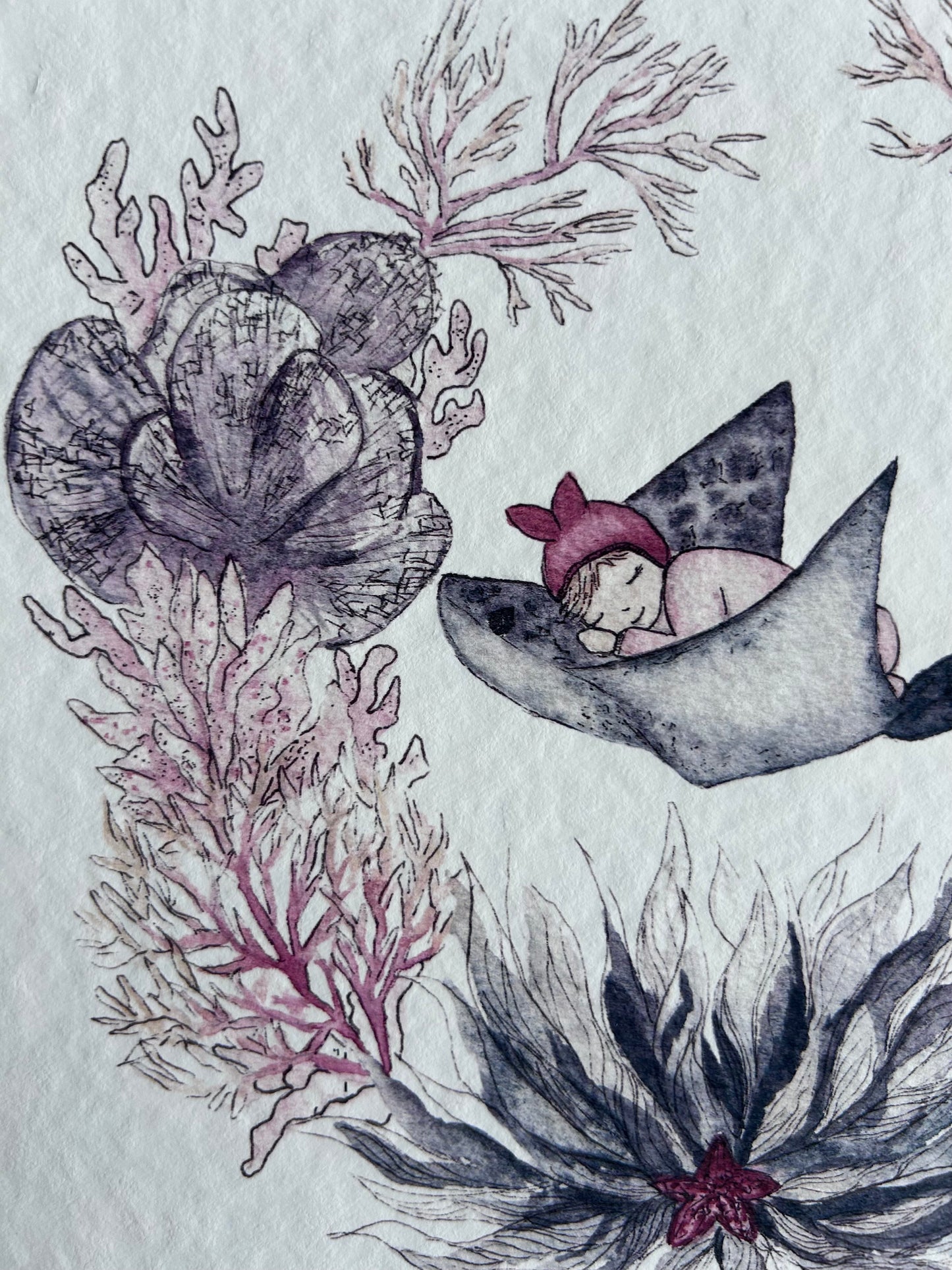 Affiche de Naissance Raie