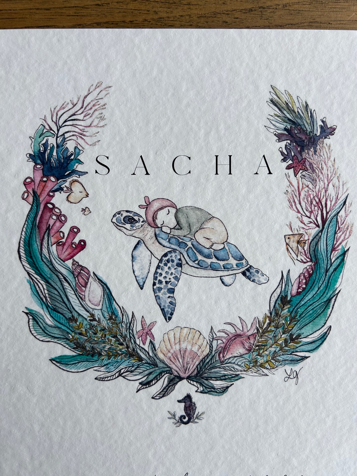 Affiche de Naissance Tortue