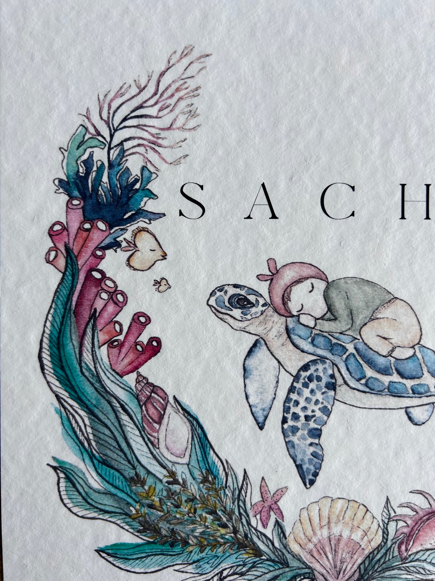 Affiche de Naissance Tortue