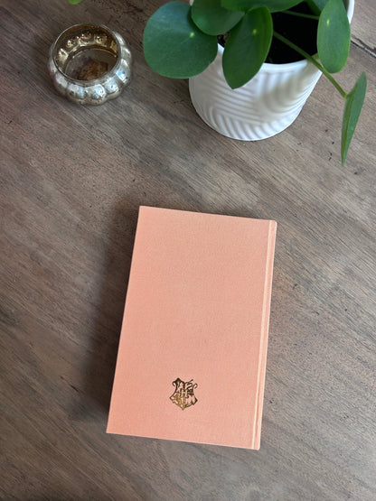 🌈 Harry Potter Rainbow Collection – Handmade Rebinding