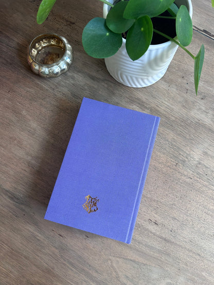 🌈 Harry Potter Rainbow Collection – Handmade Rebinding