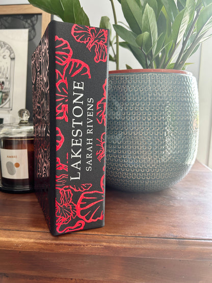 Duologie LAKESTONE