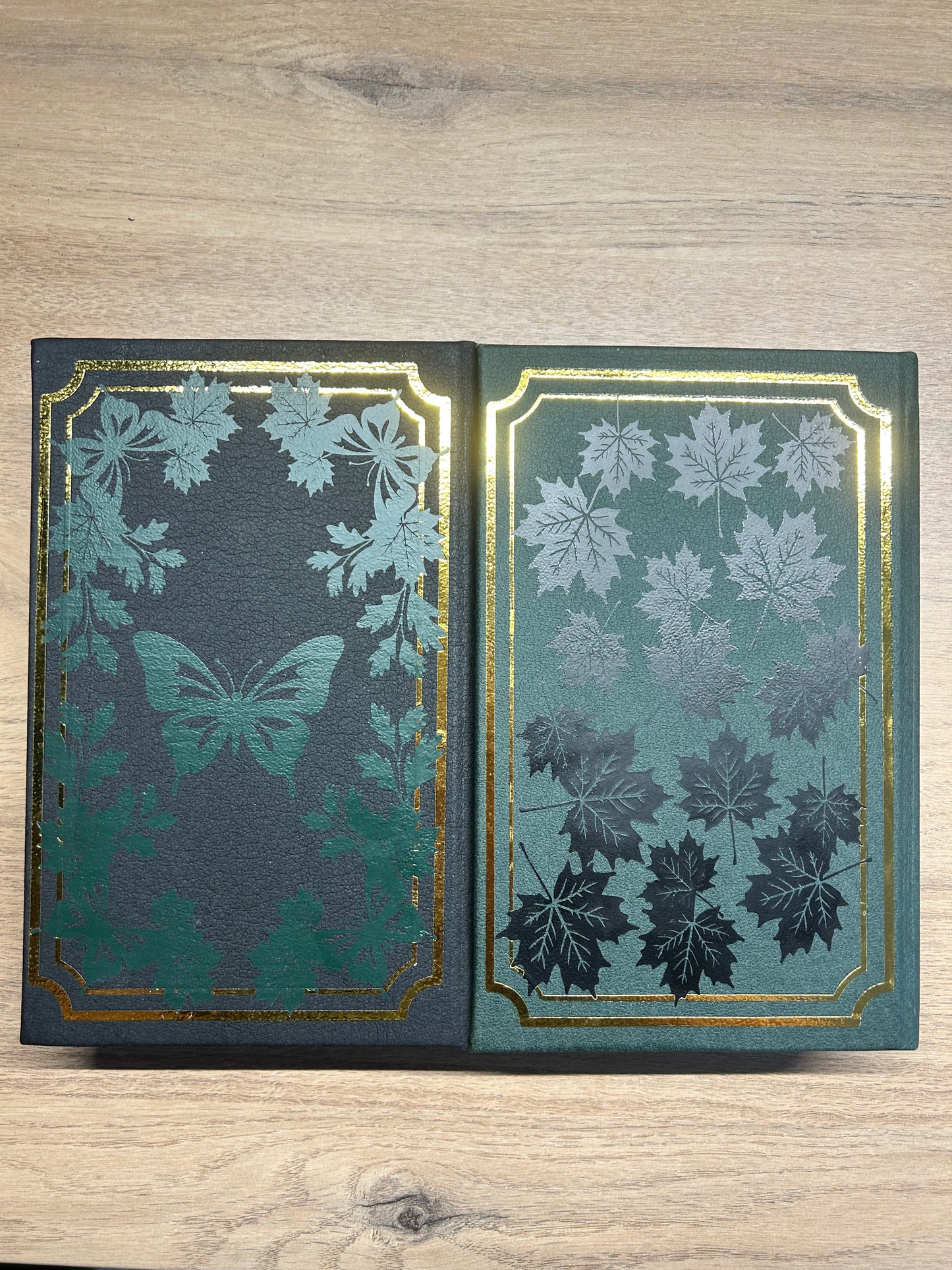 Duologie Troublemaker  / SOLD