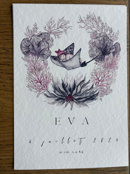 Affiche de Naissance Raie